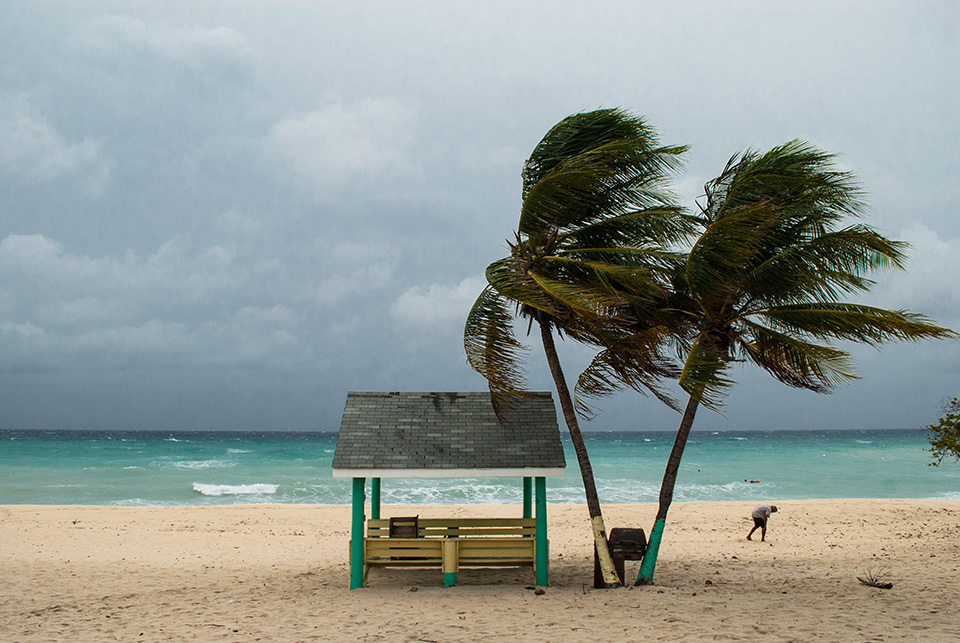 SBA Opens Business Recovery Centers in Florida