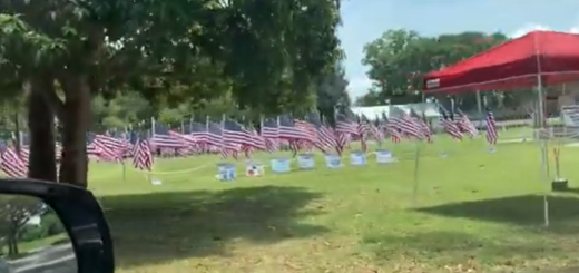 Flags for heroes Image