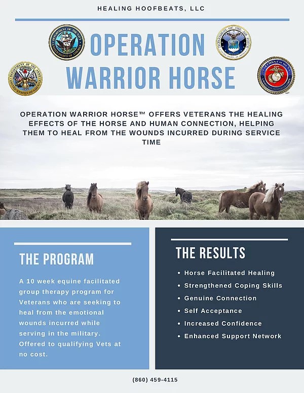 Operation Warrior Horse